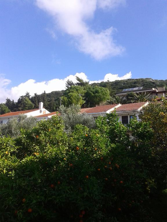 Aggelos Kefalonia Lassi 拉瑟 外观 照片